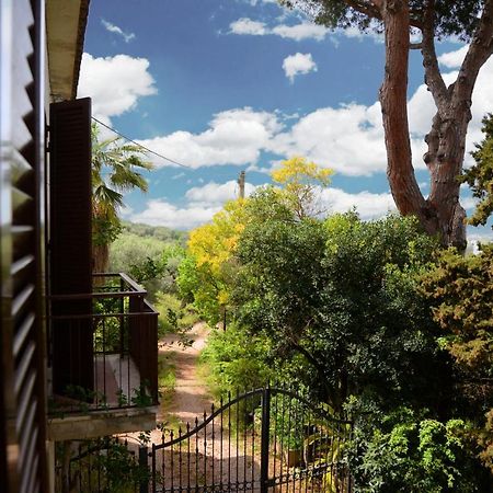 A Casa Di Carla Apartment Terracina Bagian luar foto