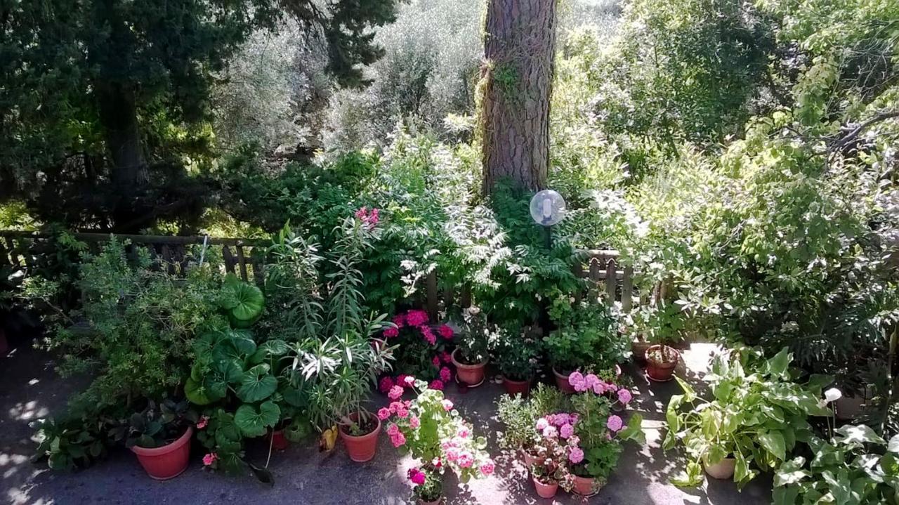A Casa Di Carla Apartment Terracina Bagian luar foto