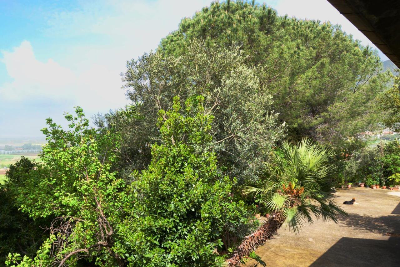A Casa Di Carla Apartment Terracina Bagian luar foto